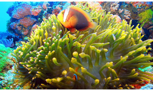 Big image mini magick20230325 38317 bpea5a