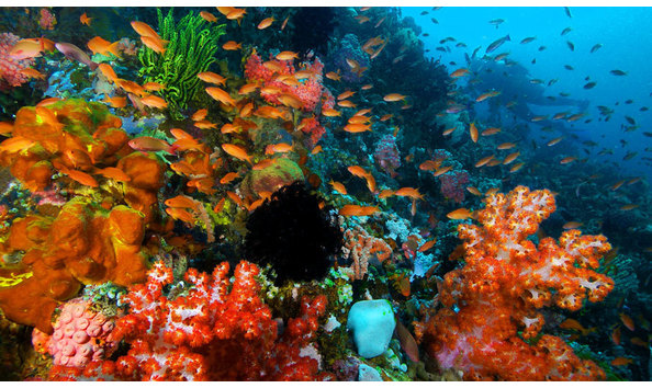 Big image mini magick20230325 38317 1kh9lir