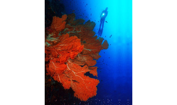 Big image mini magick20230325 38317 1l258ql