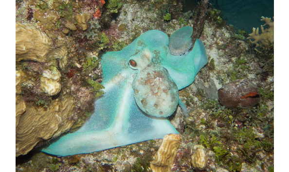 Big image mini magick20230325 38317 fztafo