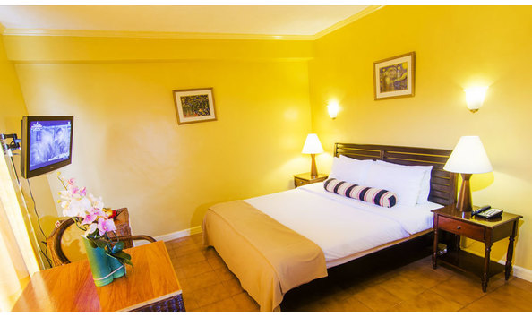 Big image mini magick20230325 38317 rf1g1v