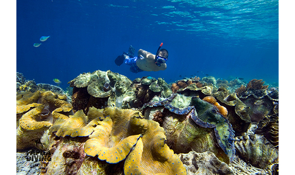 Big image mini magick20230325 38317 13tjyon