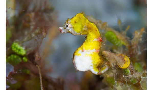 Big image mini magick20230325 38317 1umhmme