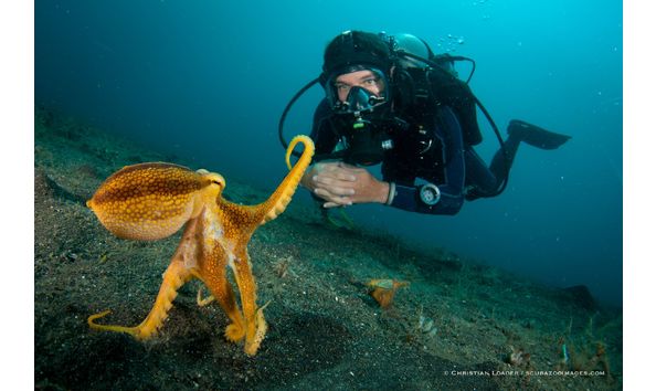 Big image mini magick20230325 38317 r0yui9