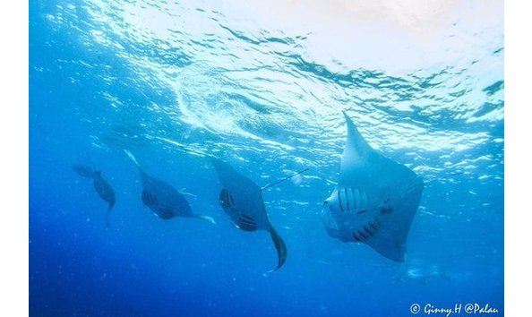 Big image mini magick20230325 38317 1j1tiw0