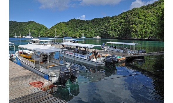 Big image mini magick20230325 38317 1kvlik8