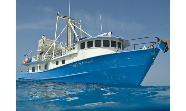 Big image mini magick20230325 38317 1tlxpc6