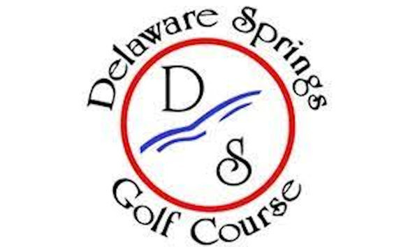 Big image big image big image delaware springs logo