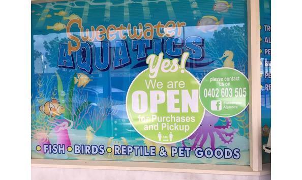 Big image big image big image 93364385 2949524885111695 1405718538005512192 n