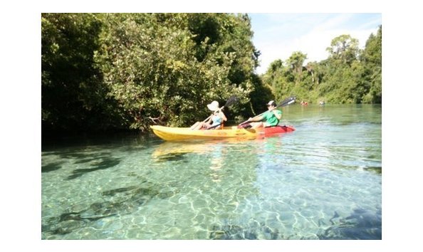 Big image big image mini magick20170218 32236 1wiz1i8