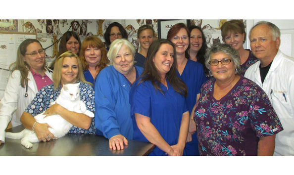 Big image big image mini magick20170222 32575 1gdmzqt