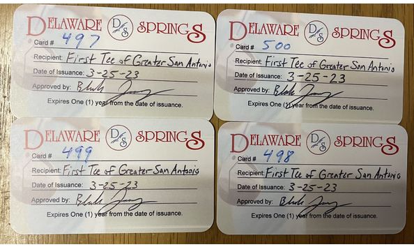 Big image deleware springs2 1