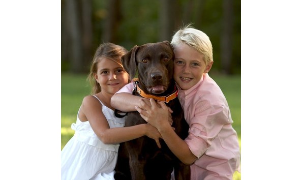 Big image dogsibslab08 073