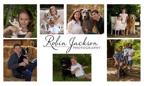 Big image collage  3