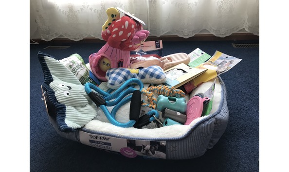 Big image image 16843777