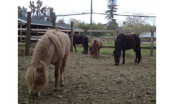 Big image 2e99acf5 08c1 4687 bb15 c1b12583c3ca