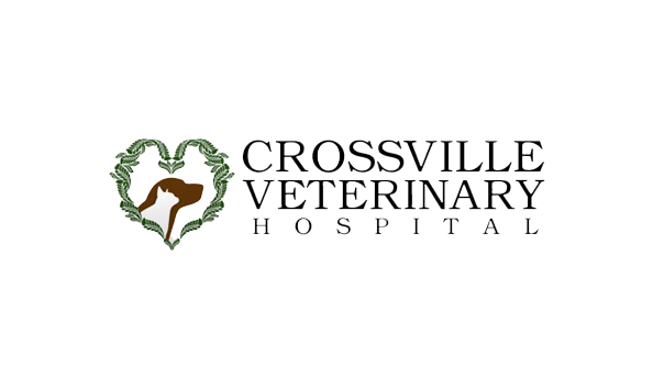 Big image crossville vet
