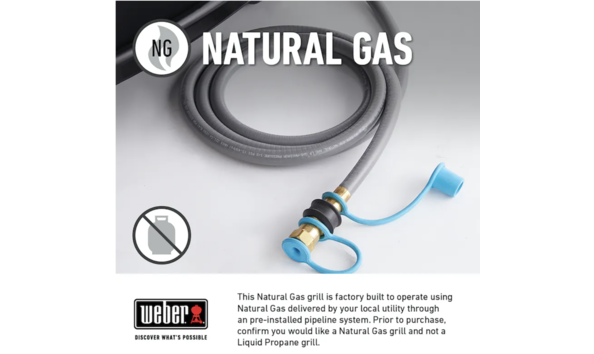 Big image screenshot 2023 04 12 at 2.55.35 pm