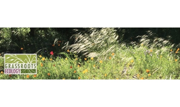 Big image 152 wildflower tour