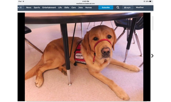 Big image 45877a17 4f44 423d 8d35 816083693bb0