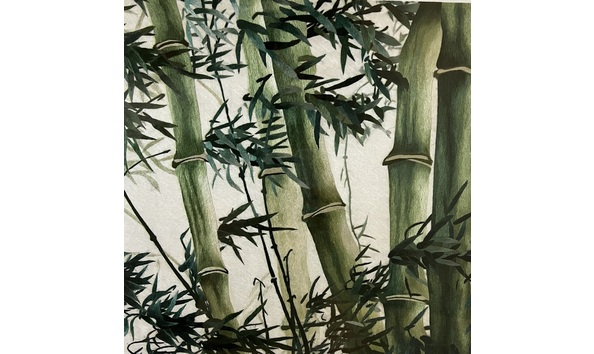 Big image d103 inlow   bamboo screen