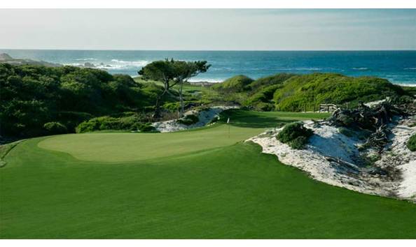 Big image mini magick20230423 10759 tlki4f