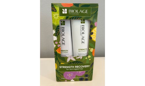 Big image salon ashley