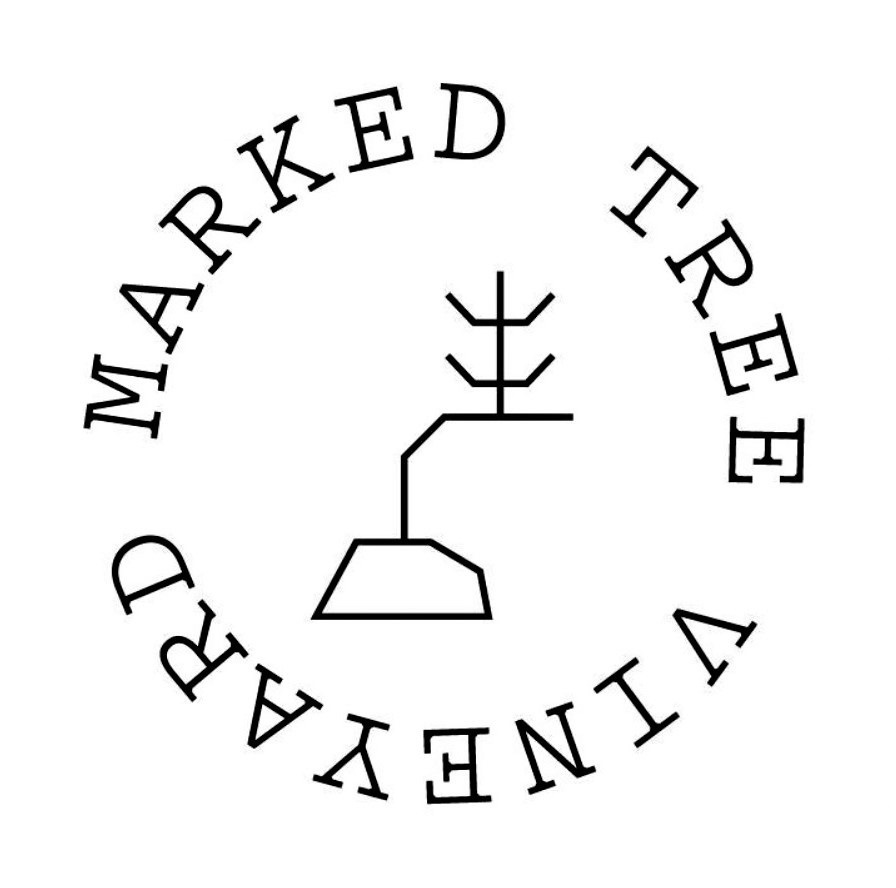 Private Marked Tree Vineyard Tour and Tasting for 10