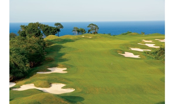 Big image jamaica golf white witch