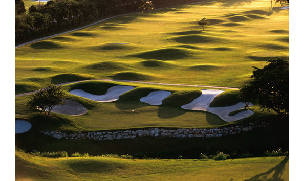 Big image mini magick20230501 84474 rkb0px