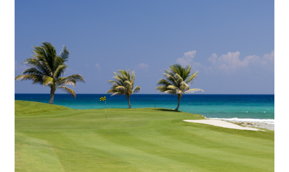 Big image mini magick20230501 84474 1btjj6f