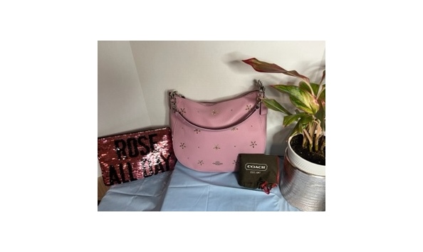 Big image coach purse   pouch front