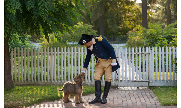 Big image big image dogpet0915 colonial williamsburg