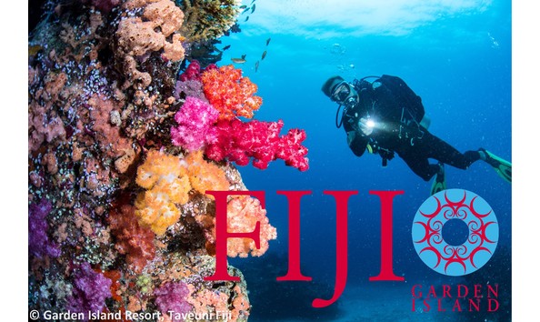 Big image gir   diving the ledge with logo  1 