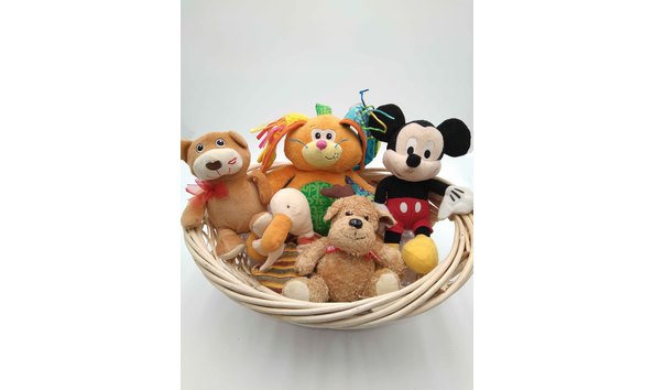 Big image 20230504 140521