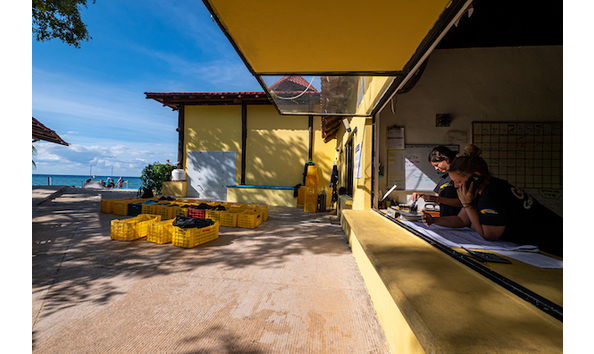 Big image pro dive occidental cozumel 6  blackmantaphotography