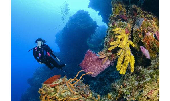 Big image  d724609   reduced