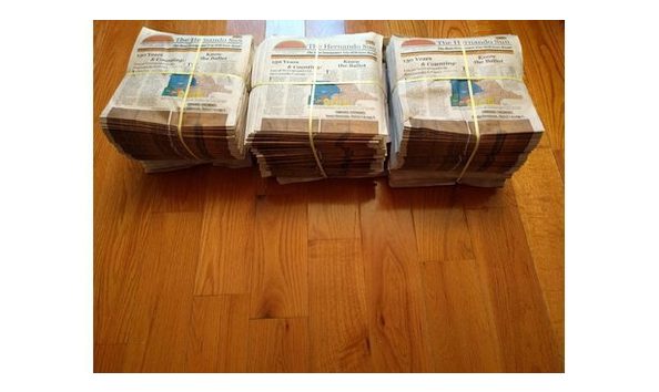 Big image big image hernando sun