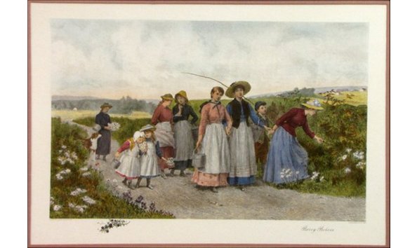 Big image jimmys warehouse