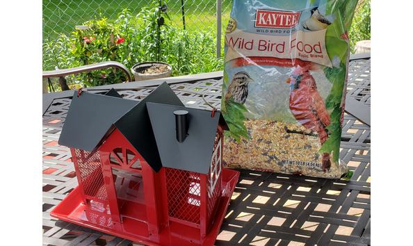 Big image bird feeder 2