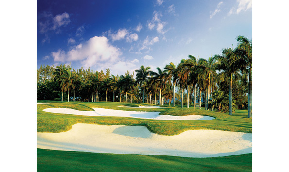 Big image mini magick20230513 125809 o5yowa