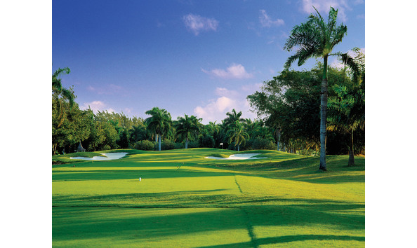 Big image mini magick20230513 125809 6zyl9p