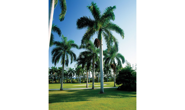 Big image mini magick20230513 125809 10zs83o