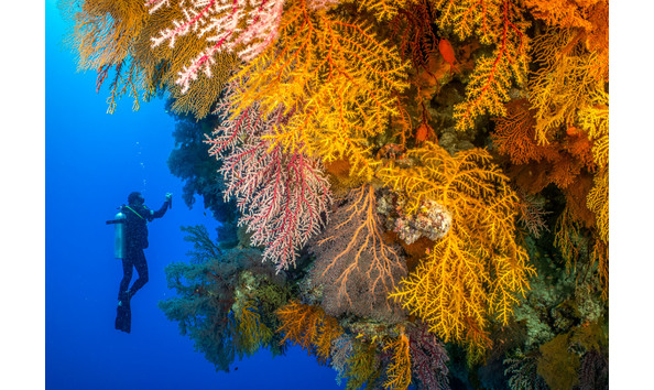 Big image 210211 js northorn 39