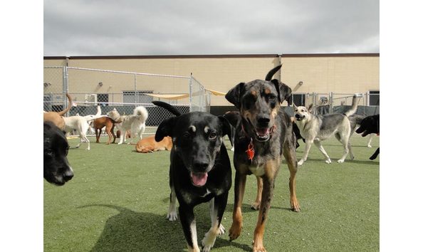 Big image largest outdoor playground 3
