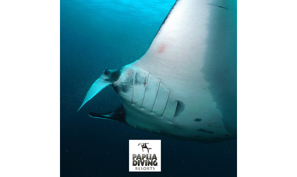 Big image kri eco resort 1