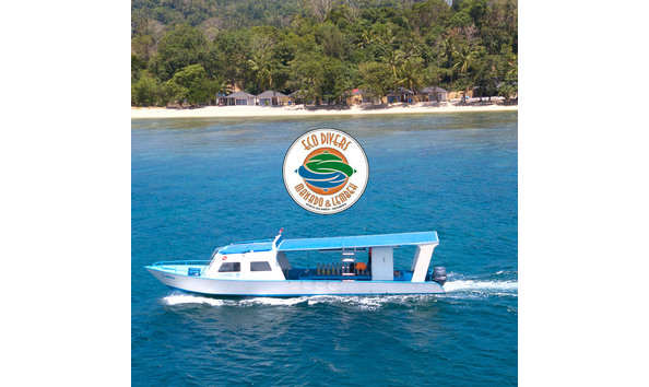 Big image eco divers lembeh