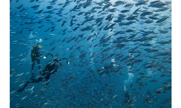 Big image arekomodo043