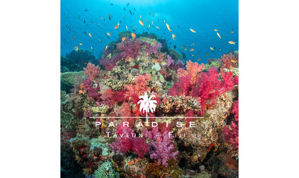 Big image paradise taveuni