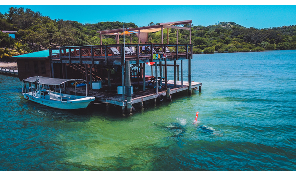 Big image mhedits 20